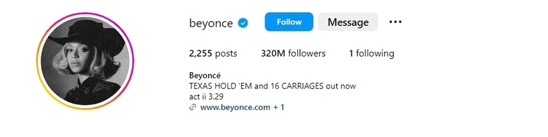 Beyoncé Instagram profile pic